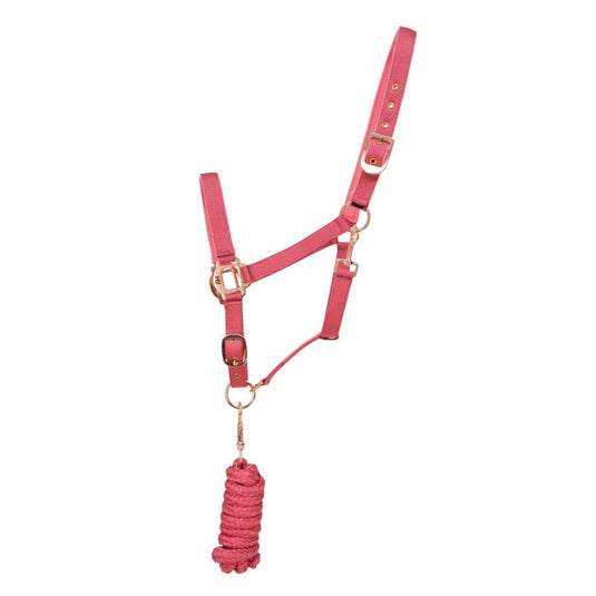 Hy Equestrian Rose Gold Headcollar & Lead Rope Bsh Pnk/R Gld - Ashurst Equestrian & Country
