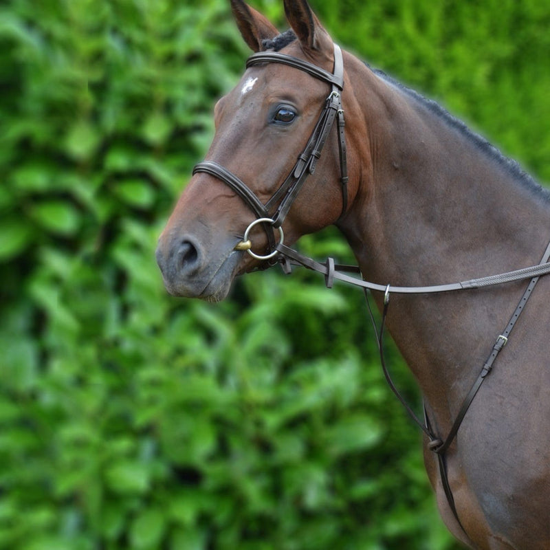Load image into Gallery viewer, Hy Equestrian Running Martingale Brown - Ashurst Equestrian &amp; Country
