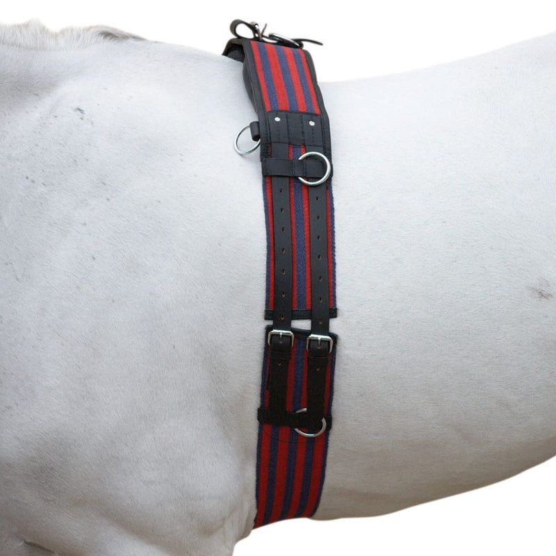 Load image into Gallery viewer, Hy Equestrian Training Roller - Ashurst Equestrian &amp; Country

