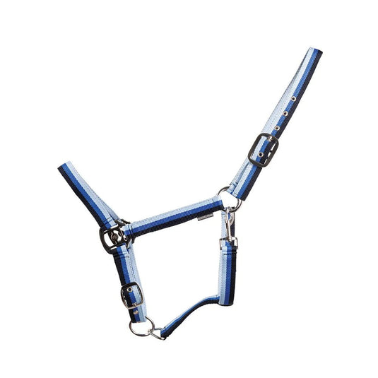 Hy Equestrian Trinity Headcollar Navy/Blue/L Blue - Ashurst Equestrian & Country