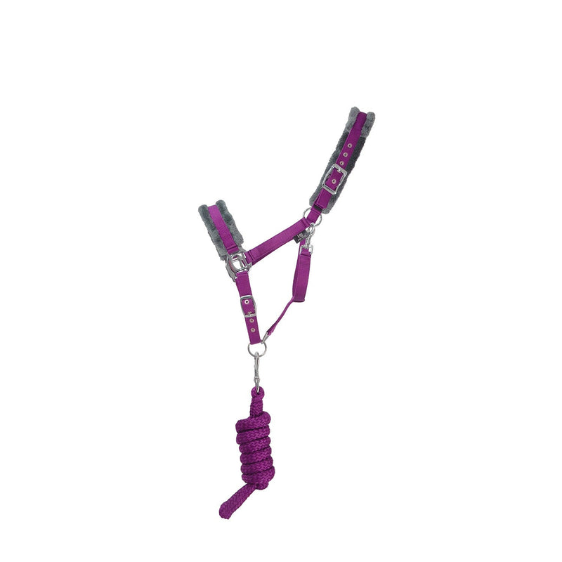 Load image into Gallery viewer, Hy Sport Active Headcollar &amp; Lead Rope Amethyst Purple - Ashurst Equestrian &amp; Country
