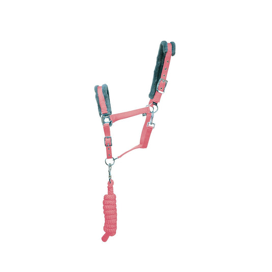 Hy Sport Active Headcollar & Lead Rope Coral Rose - Ashurst Equestrian & Country