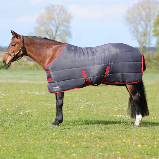 Hyconic 250 G Stable Rug Charcoal/Red - Ashurst Equestrian & Country