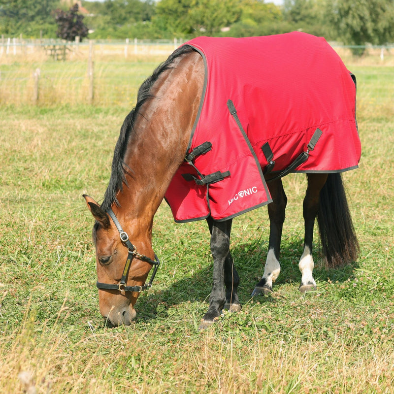 Load image into Gallery viewer, Hyconic 50 G Turnout Rug Red/Carcoal - Ashurst Equestrian &amp; Country
