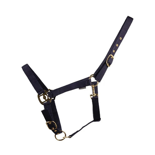 Hyconic Headcollar Navy - Ashurst Equestrian & Country