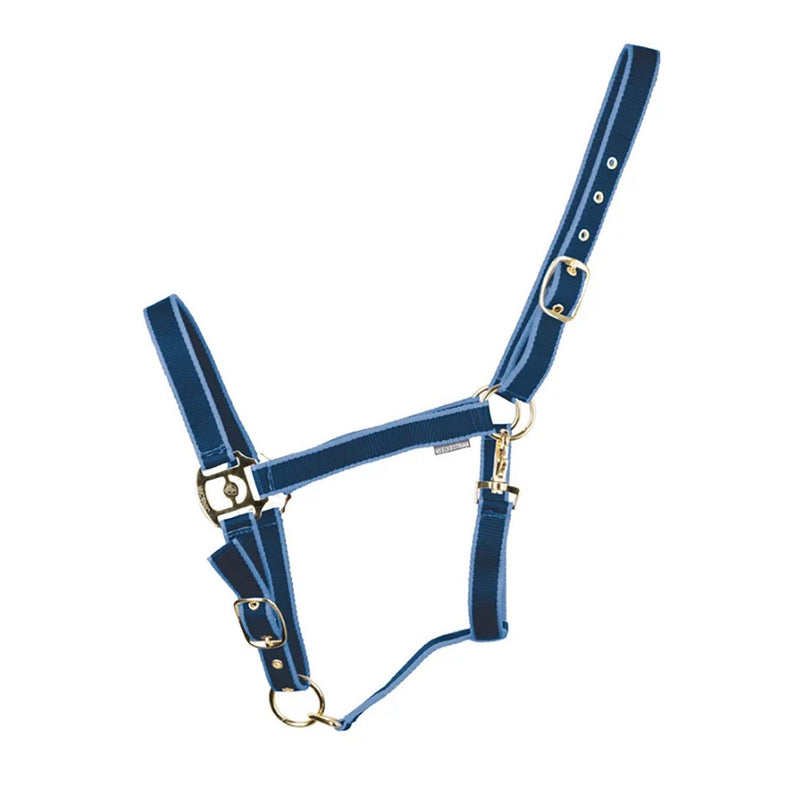 Load image into Gallery viewer, Hyconic Headcollar Navy/Blue - Ashurst Equestrian &amp; Country
