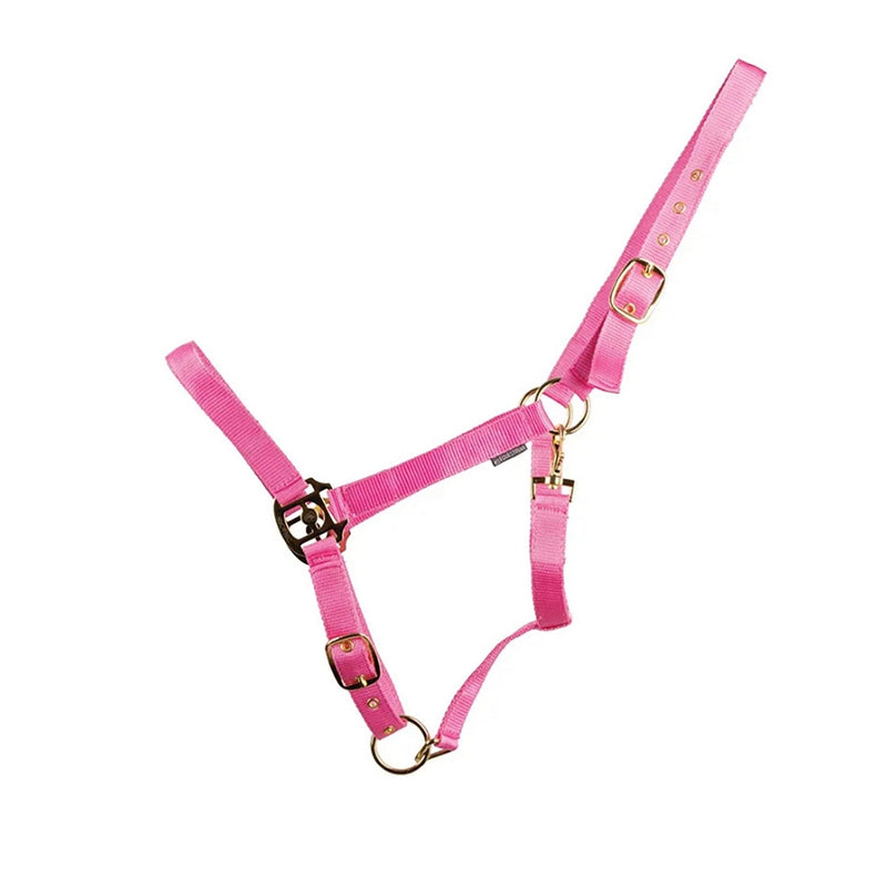 Load image into Gallery viewer, Hyconic Headcollar Pink - Ashurst Equestrian &amp; Country
