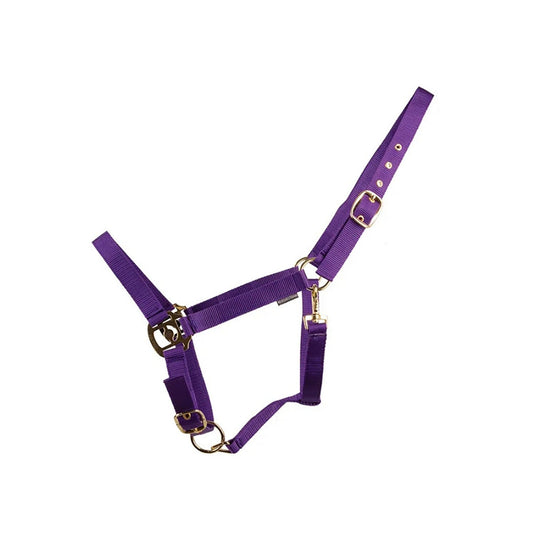 Hyconic Headcollar Purple - Ashurst Equestrian & Country