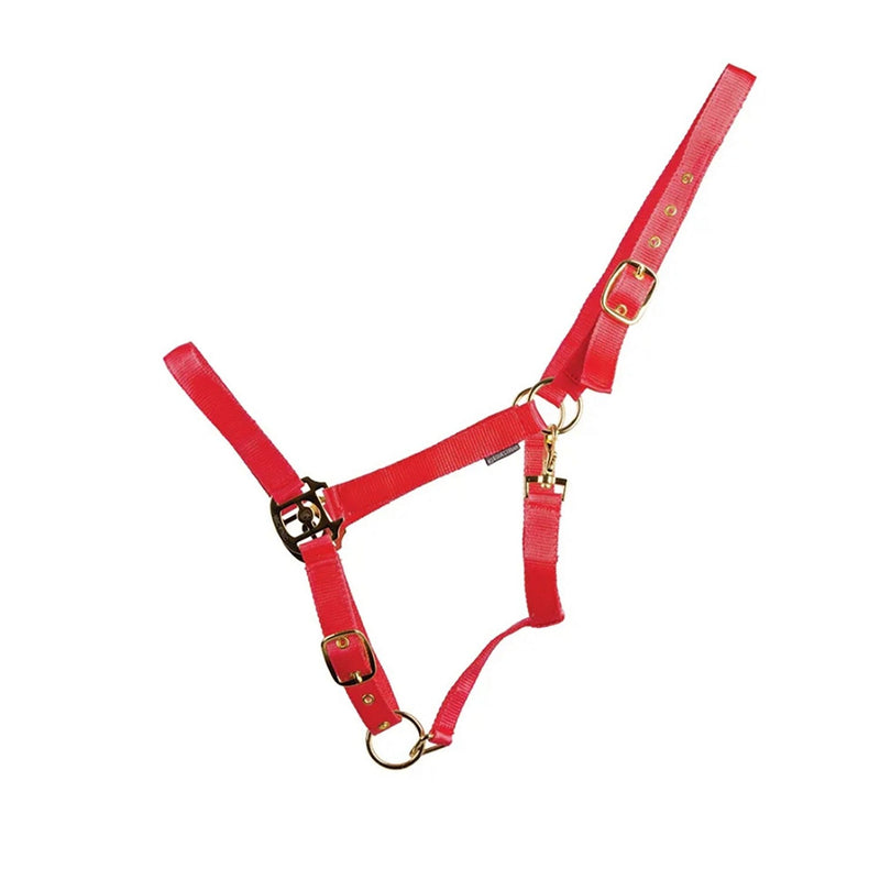 Load image into Gallery viewer, Hyconic Headcollar Red - Ashurst Equestrian &amp; Country
