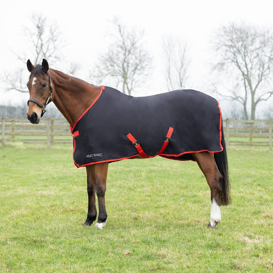 Hyconic Summer Sheet Charcoal/Red - Ashurst Equestrian & Country