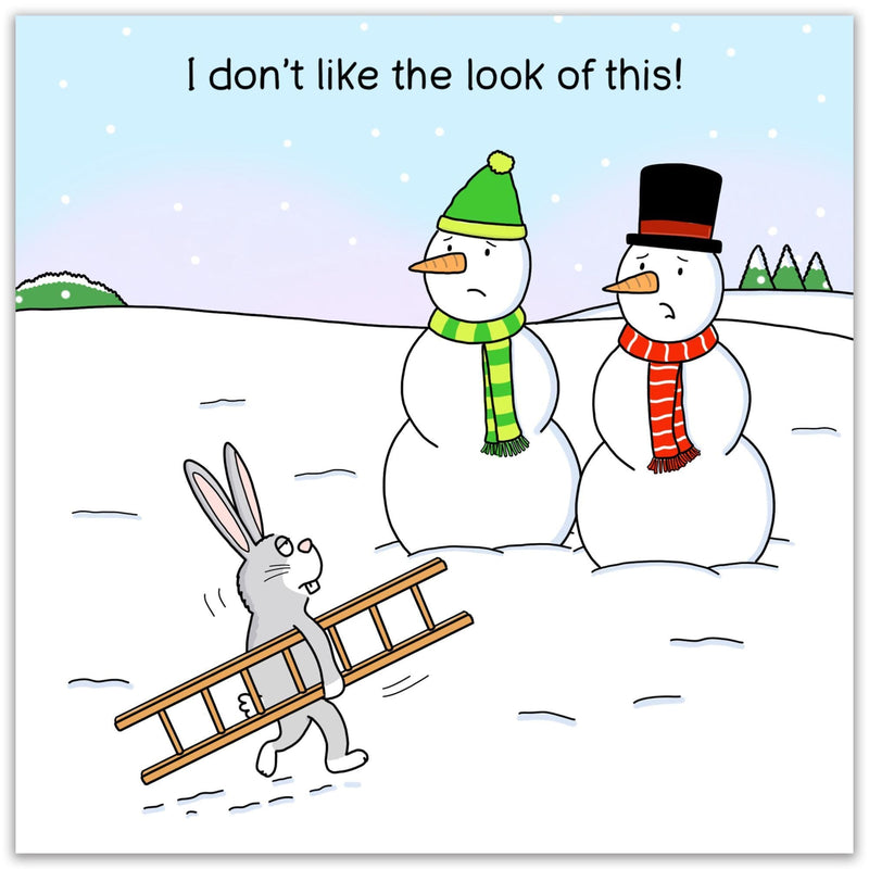 Load image into Gallery viewer, I Don't Like The Look of This - Funny Christmas Card - Ashurst Equestrian &amp; Country
