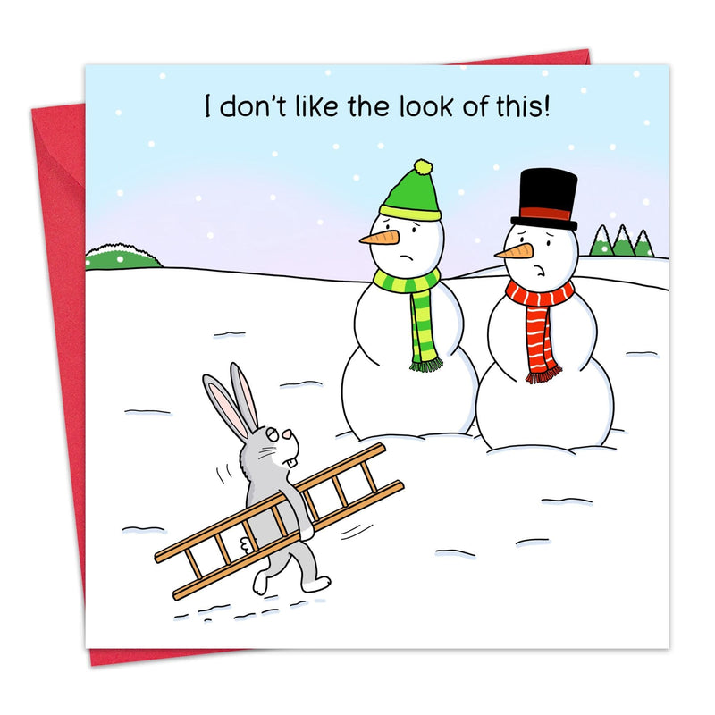 Load image into Gallery viewer, I Don't Like The Look of This - Funny Christmas Card - Ashurst Equestrian &amp; Country
