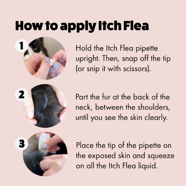 Load image into Gallery viewer, Itch Flea Spot On for Cats - 3 Pipettes - Ashurst Equestrian &amp; Country
