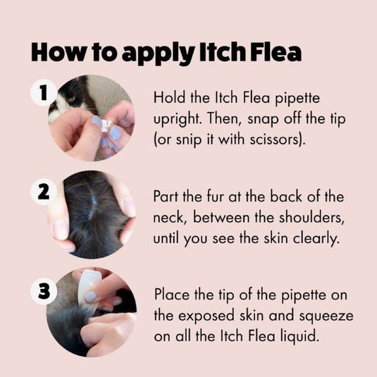 Itch Flea Spot On for Cats - 3 Pipettes - Ashurst Equestrian & Country