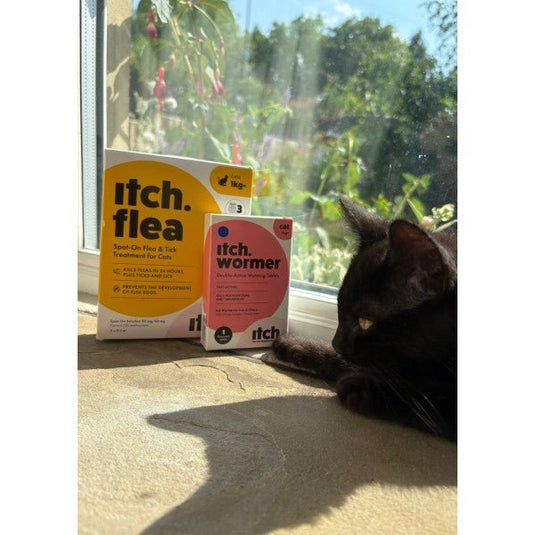 Itch Flea Spot On for Cats - 3 Pipettes - Ashurst Equestrian & Country