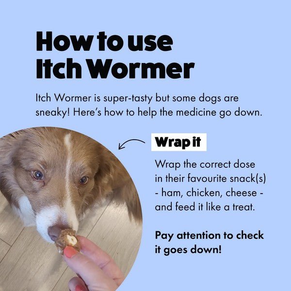 Load image into Gallery viewer, Itch Wormer Tablets for Dogs 3-20kg - 2 Pack - Ashurst Equestrian &amp; Country
