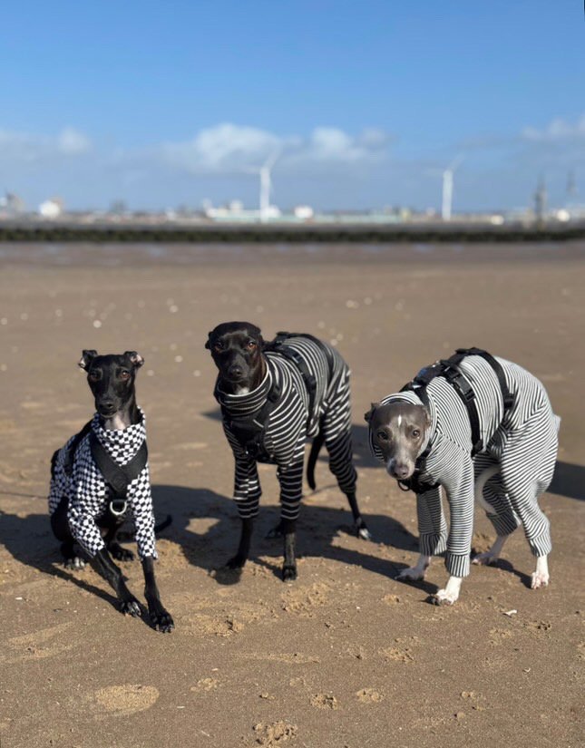 Load image into Gallery viewer, Jersey Suit - Go Bananas! - Ashurst Equestrian &amp; Country
