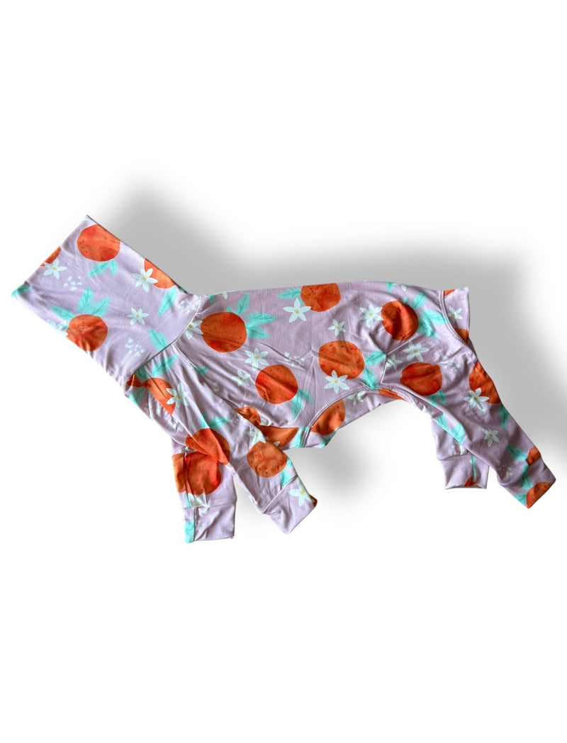 Load image into Gallery viewer, Jersey Suit - Peaches - Ashurst Equestrian &amp; Country
