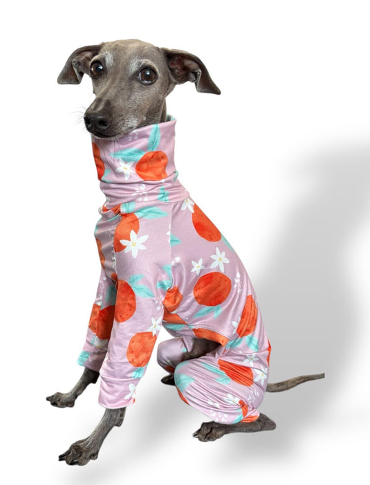 Jersey Suit - Peaches - Ashurst Equestrian & Country