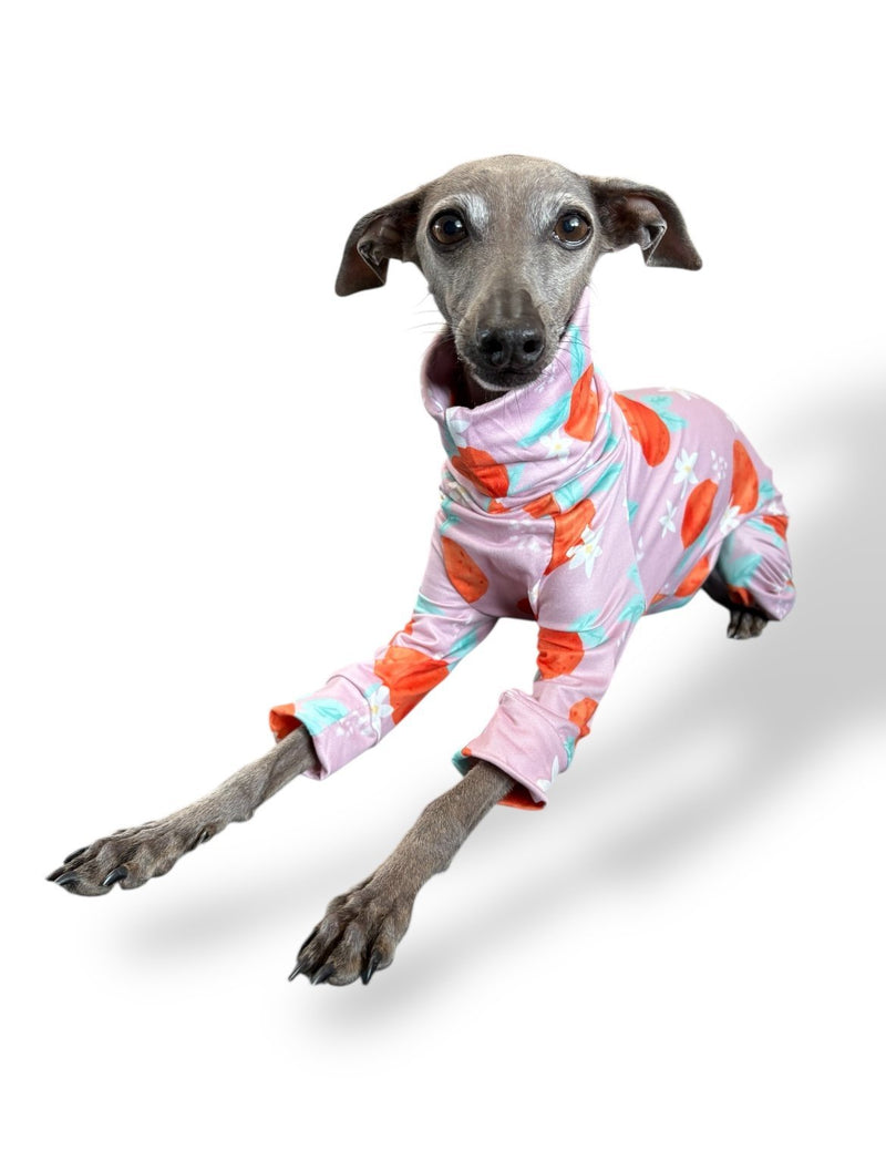 Load image into Gallery viewer, Jersey Suit - Peaches - Ashurst Equestrian &amp; Country
