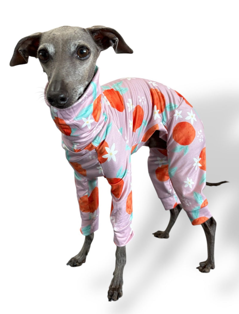 Load image into Gallery viewer, Jersey Suit - Peaches - Ashurst Equestrian &amp; Country
