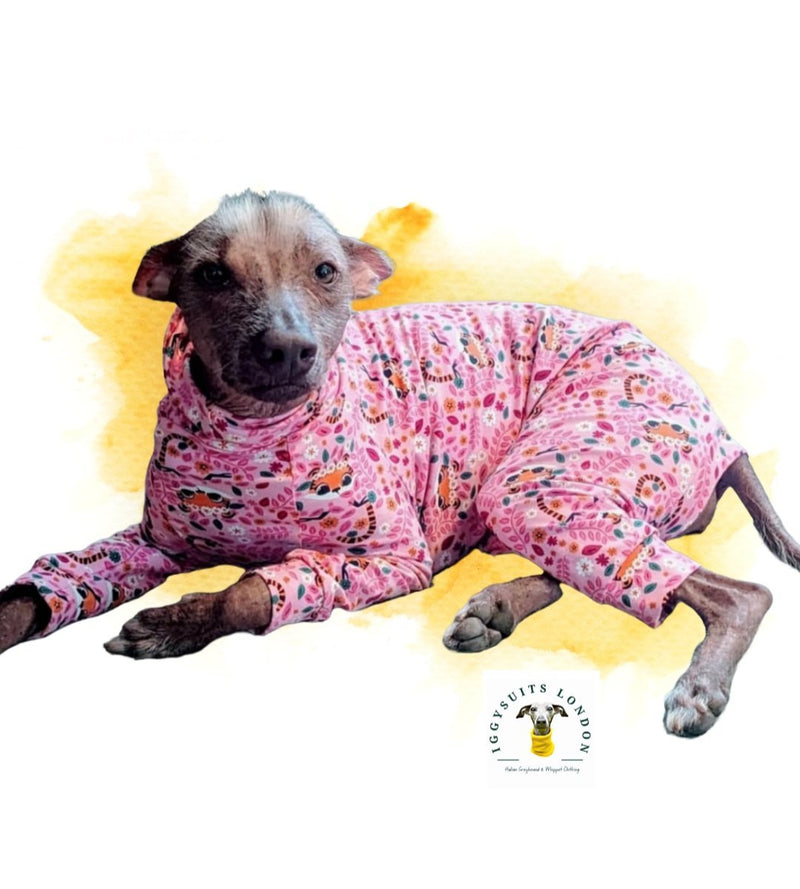 Load image into Gallery viewer, Jersey Suit - Pink Tigers - Ashurst Equestrian &amp; Country
