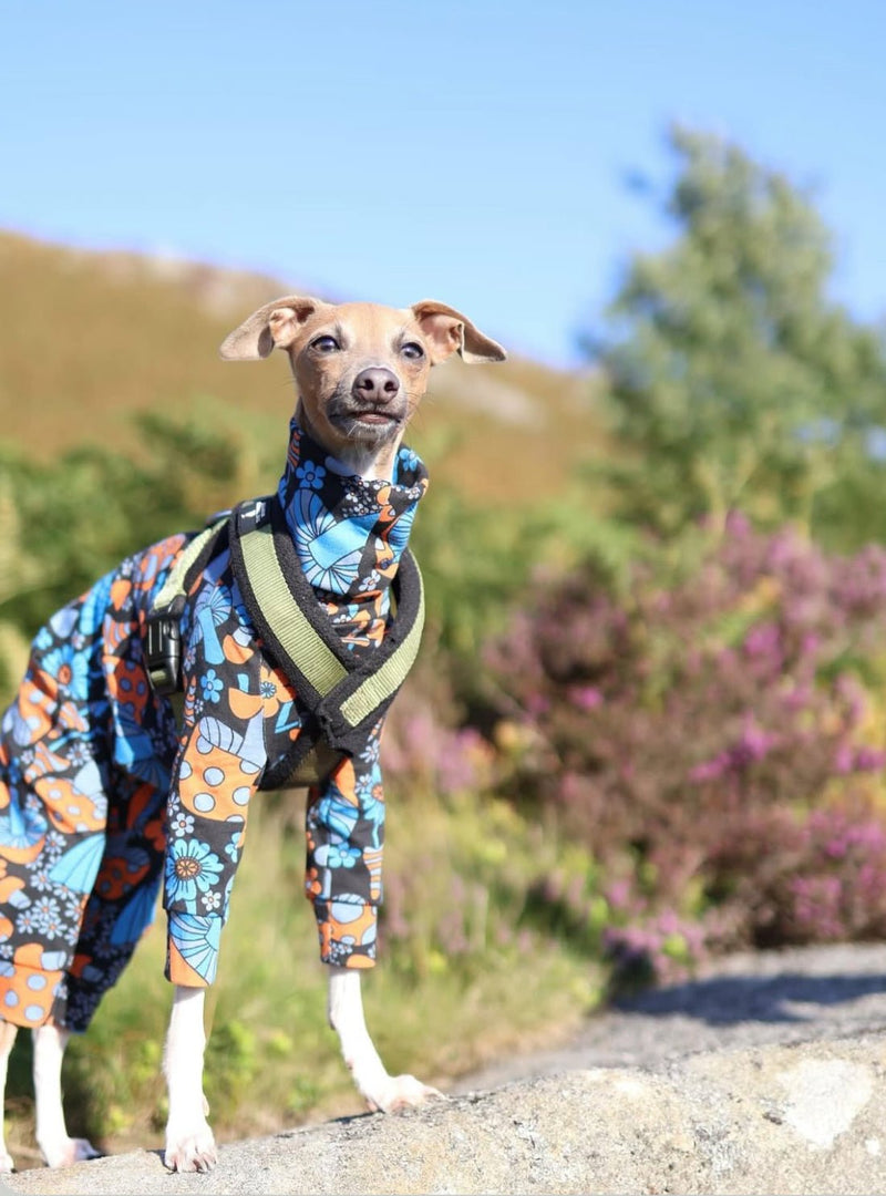 Load image into Gallery viewer, Jersey Suit - Purple Moths - Ashurst Equestrian &amp; Country
