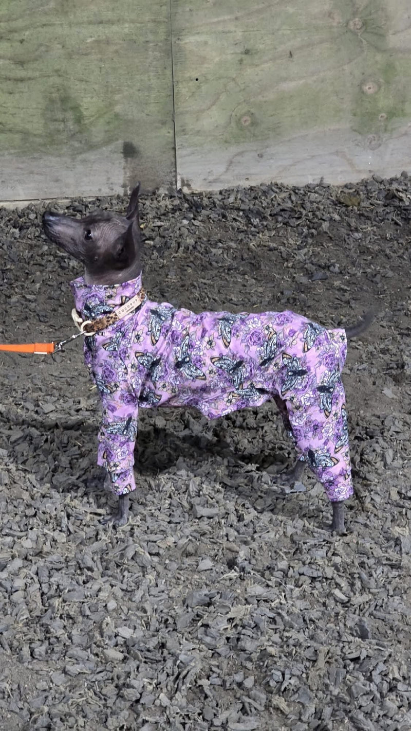 Load image into Gallery viewer, Jersey Suit - Purple Moths - Ashurst Equestrian &amp; Country
