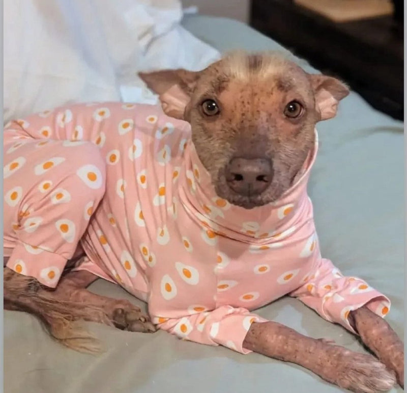 Load image into Gallery viewer, Jersey Suit - Purple Moths - Ashurst Equestrian &amp; Country
