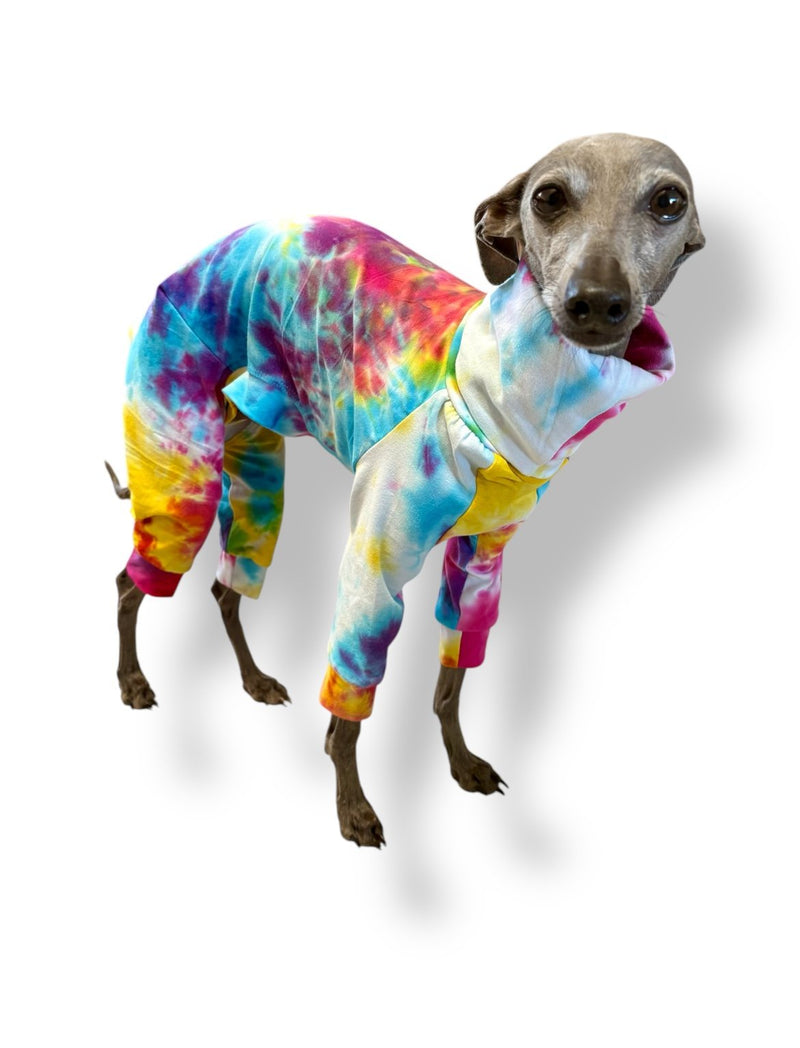 Load image into Gallery viewer, Jersey Suit - Rainbow Tie Dye - Ashurst Equestrian &amp; Country
