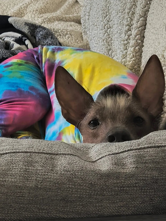 Jersey Suit - Rainbow Tie Dye - Ashurst Equestrian & Country
