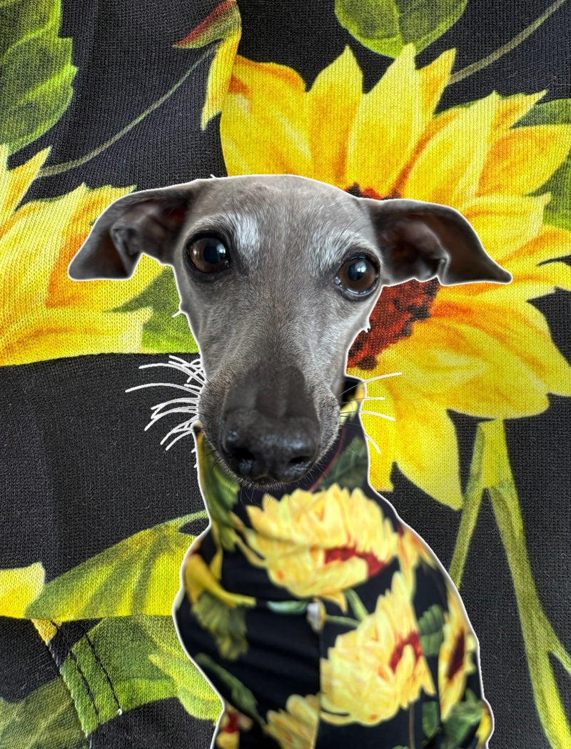 Load image into Gallery viewer, Jersey Suit - Sunflowers - Ashurst Equestrian &amp; Country
