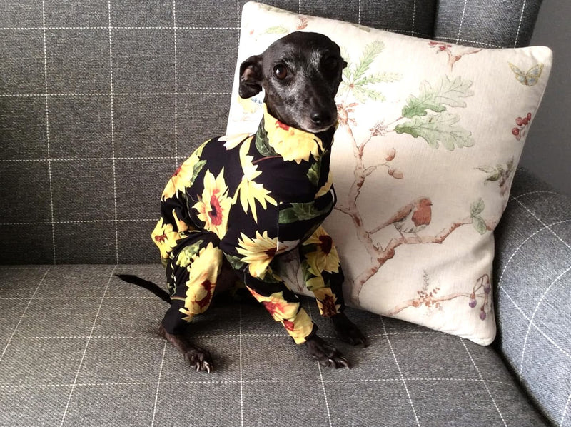 Load image into Gallery viewer, Jersey Suit - Sunflowers - Ashurst Equestrian &amp; Country
