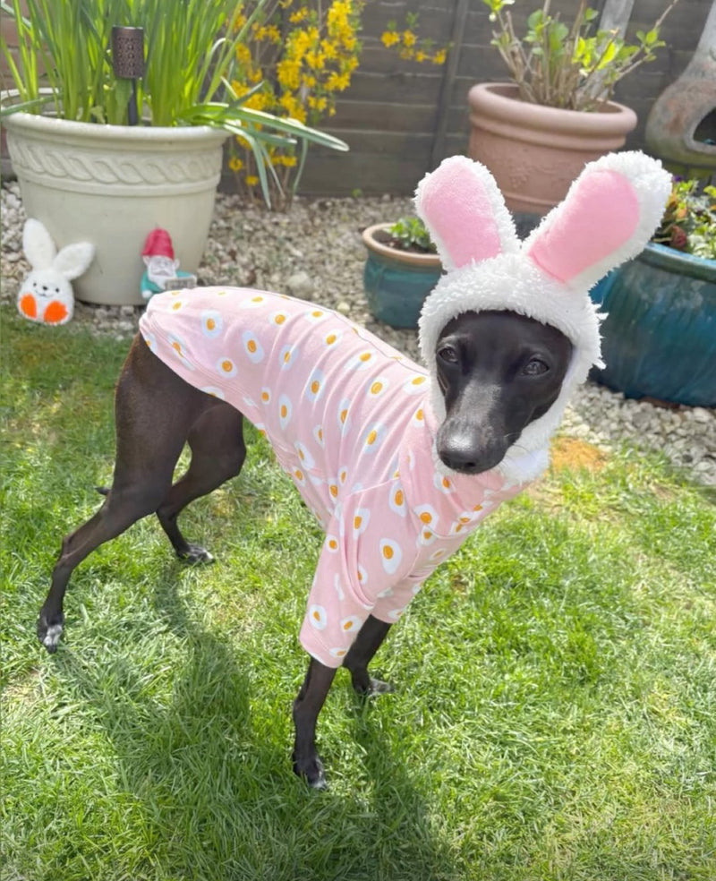 Load image into Gallery viewer, Jersey T-Shirt - Fried Eggs - Ashurst Equestrian &amp; Country
