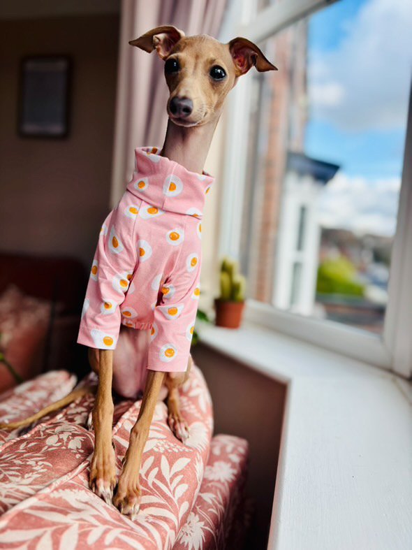 Load image into Gallery viewer, Jersey T-Shirt - Fried Eggs - Ashurst Equestrian &amp; Country
