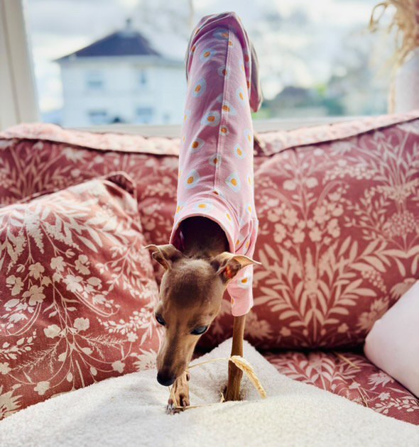 Load image into Gallery viewer, Jersey T-Shirt - Fried Eggs - Ashurst Equestrian &amp; Country
