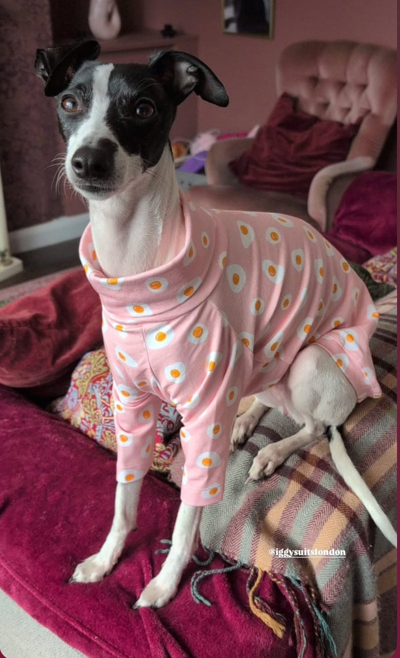 Load image into Gallery viewer, Jersey T-Shirt - Fried Eggs - Ashurst Equestrian &amp; Country
