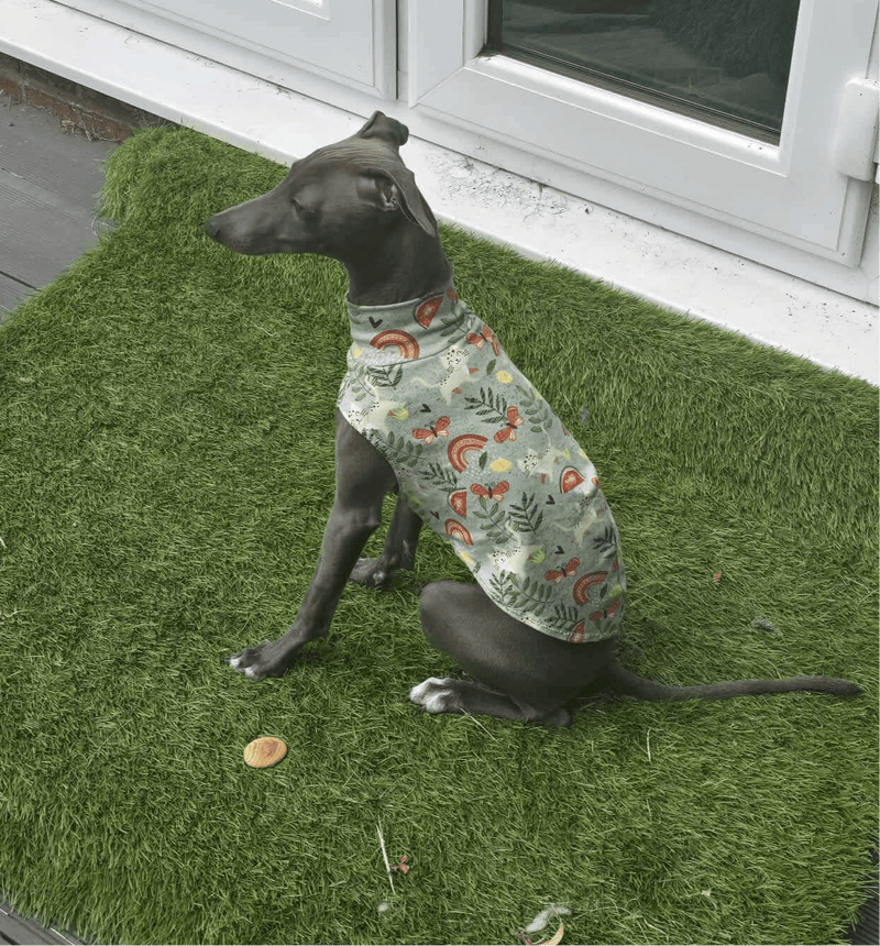 Load image into Gallery viewer, Jersey Vest - Sage Kitties - Ashurst Equestrian &amp; Country
