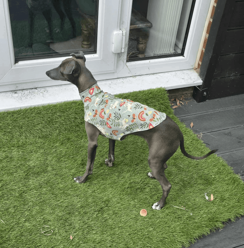 Load image into Gallery viewer, Jersey Vest - Sage Kitties - Ashurst Equestrian &amp; Country
