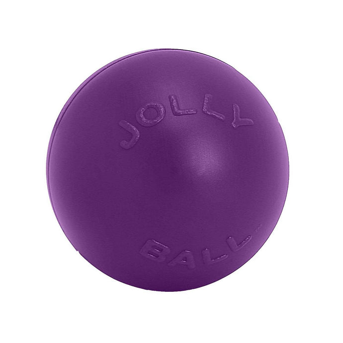 Jolly Pets Push N Play Purple - Ashurst Equestrian & Country