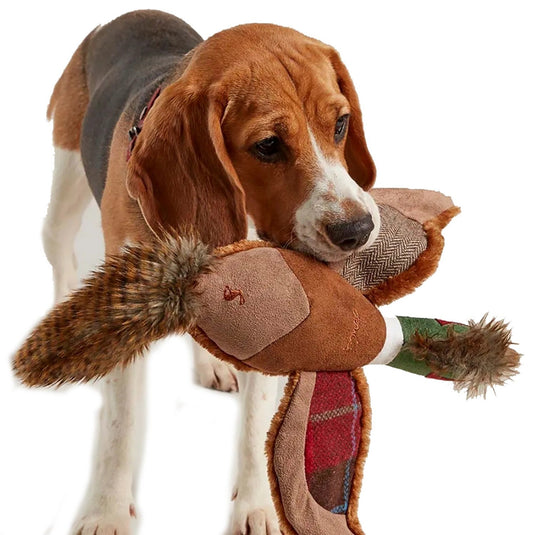 Joules Pheasant Dog Toy - Ashurst Equestrian & Country
