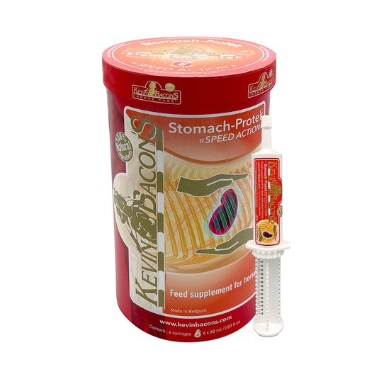 Kevin Bacon's Stomach Protek Speed Action - Ashurst Equestrian & Country