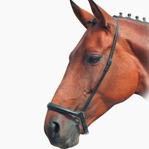 Kincade Drop Noseband - Ashurst Equestrian & Country