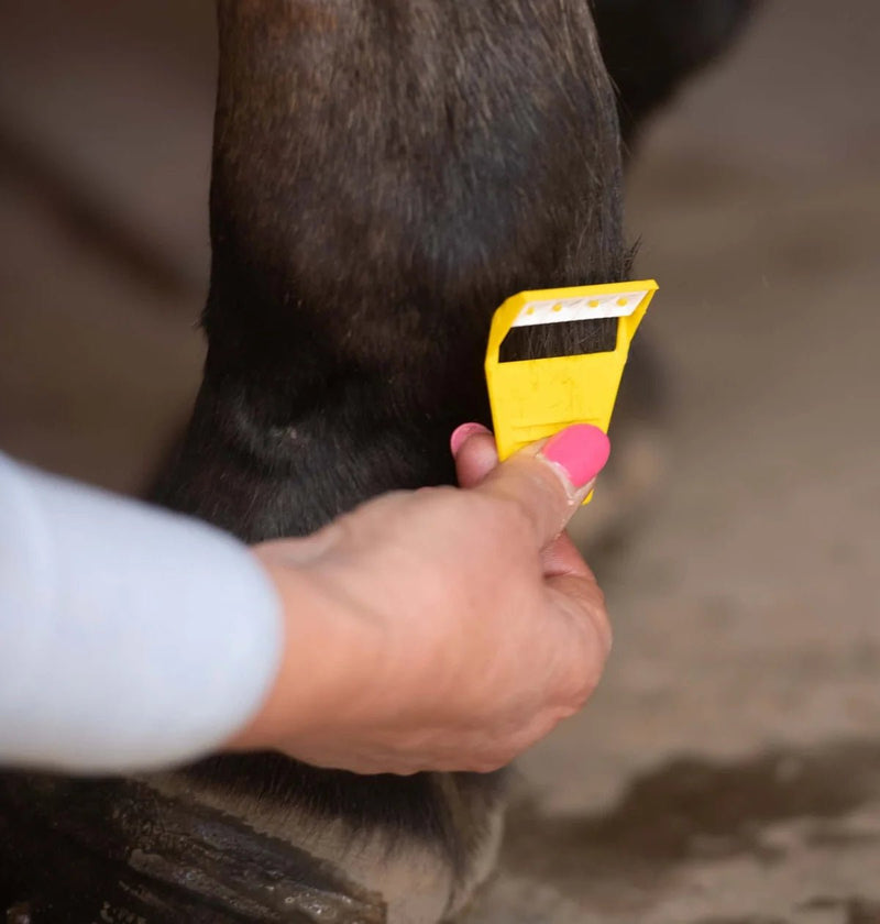 Load image into Gallery viewer, KM Elite Equishave - Ashurst Equestrian &amp; Country
