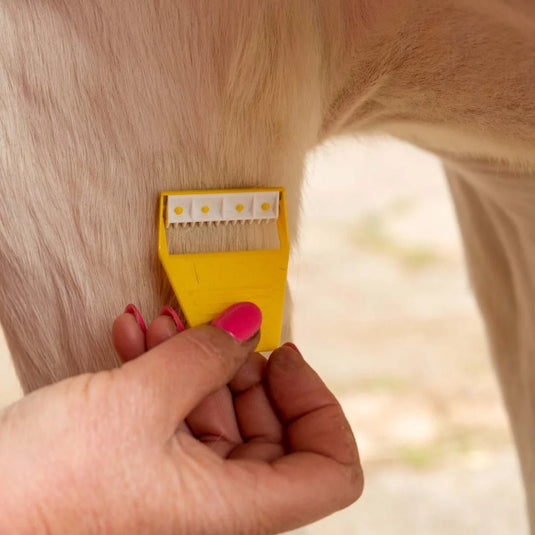 KM Elite Equishave - Ashurst Equestrian & Country