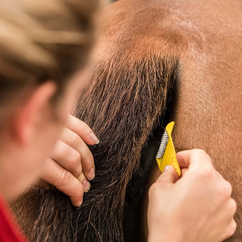 Load image into Gallery viewer, KM Elite Equishave - Ashurst Equestrian &amp; Country

