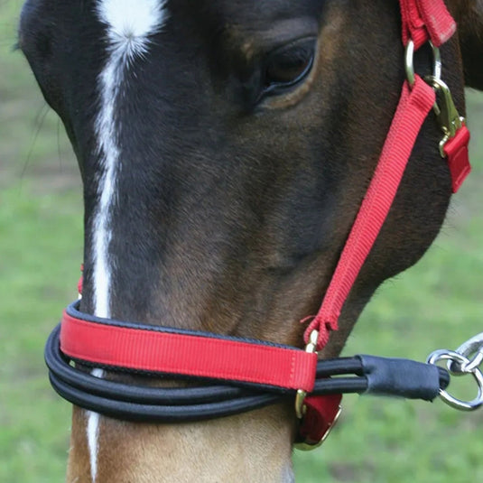 Km Elite Ezyloader - Ashurst Equestrian & Country