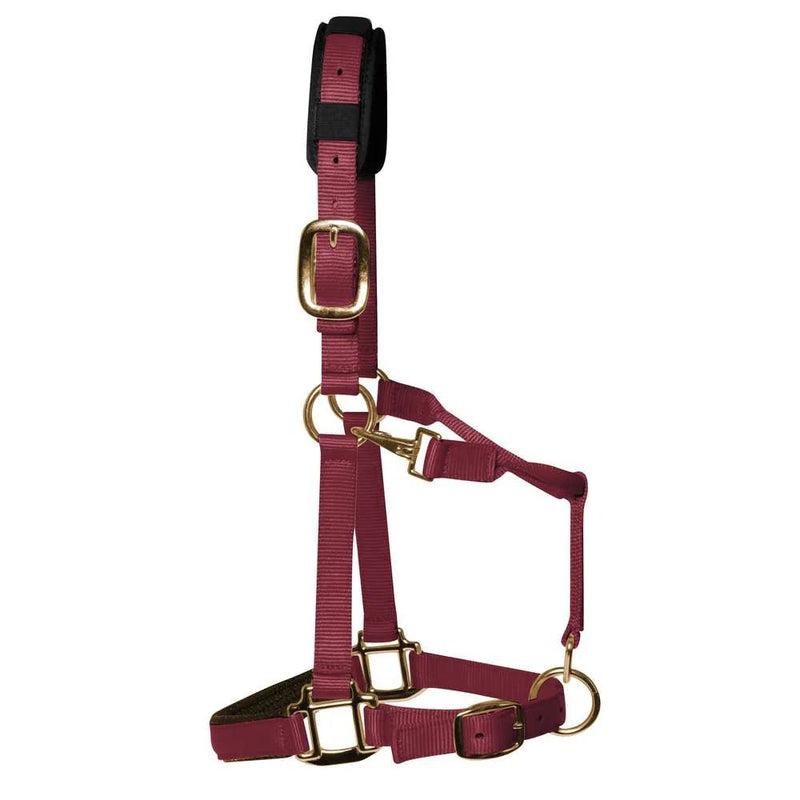 Load image into Gallery viewer, KM Elite Head Collar - Ashurst Equestrian &amp; Country
