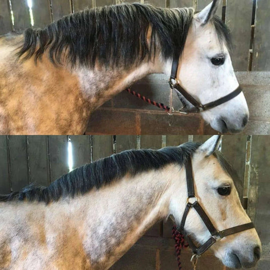 KM Elite Smart Mane - Ashurst Equestrian & Country