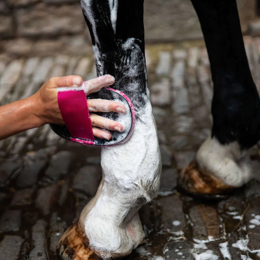 KM Elite Super Groomer Deluxe - Ashurst Equestrian & Country